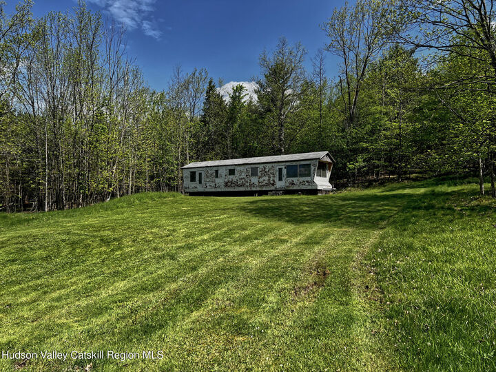 Property Photo:  443 County Road 13  NY 12468 