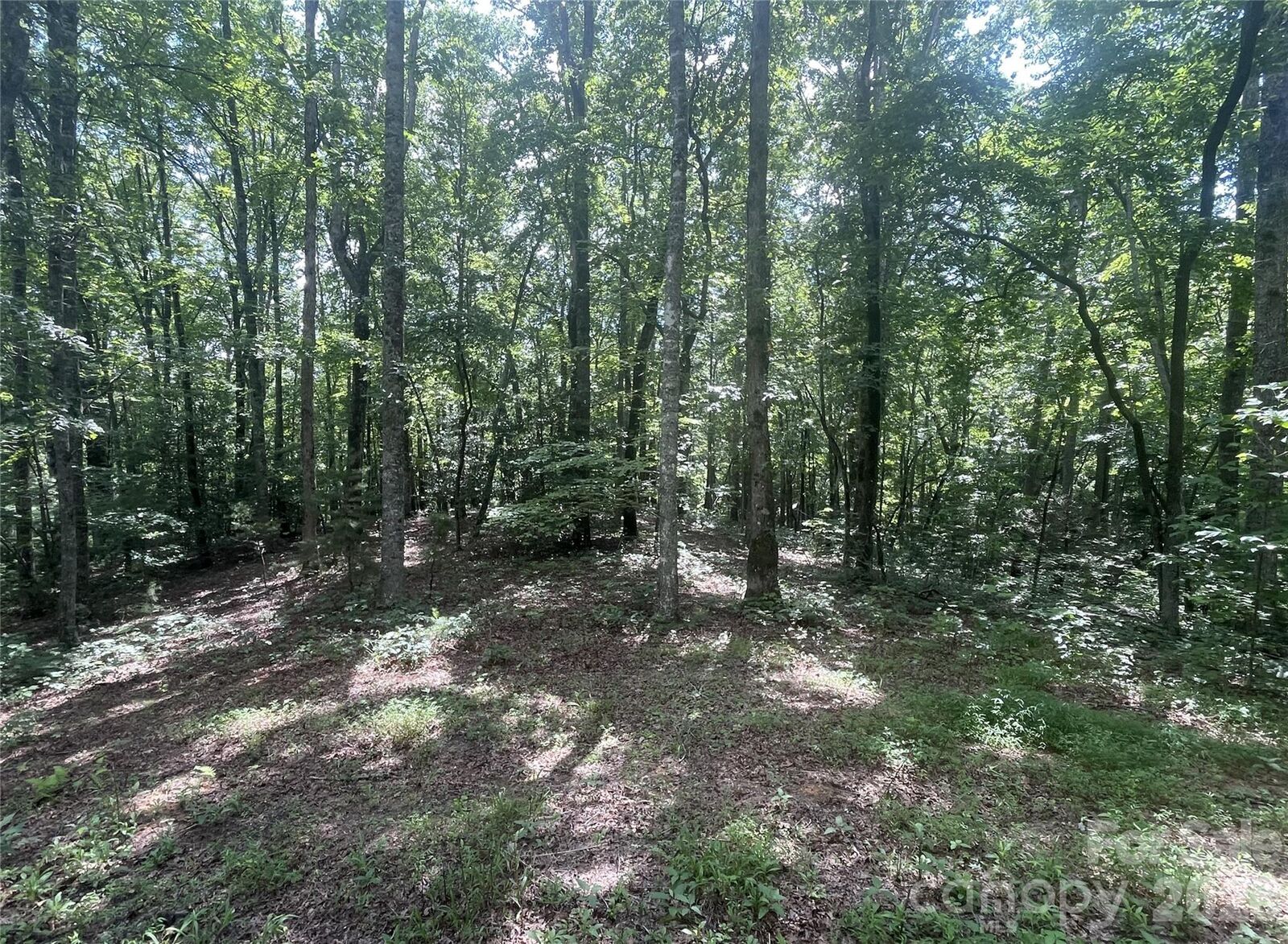 Property Photo: 2060 US 19 Highway S NC 28713