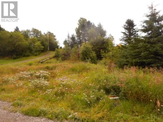 Property Photo:  127 Bayview Road  NL A0J 1T0 