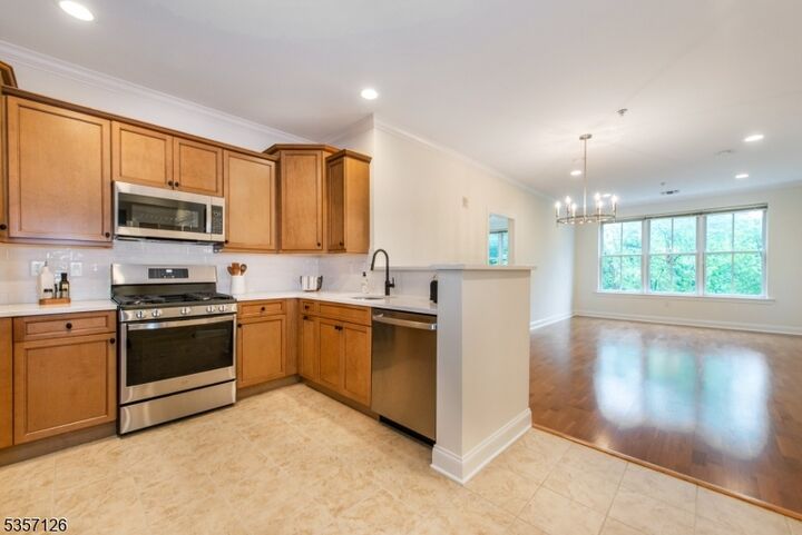 Property Photo:  545 Morris Ave 213  NJ 07901 