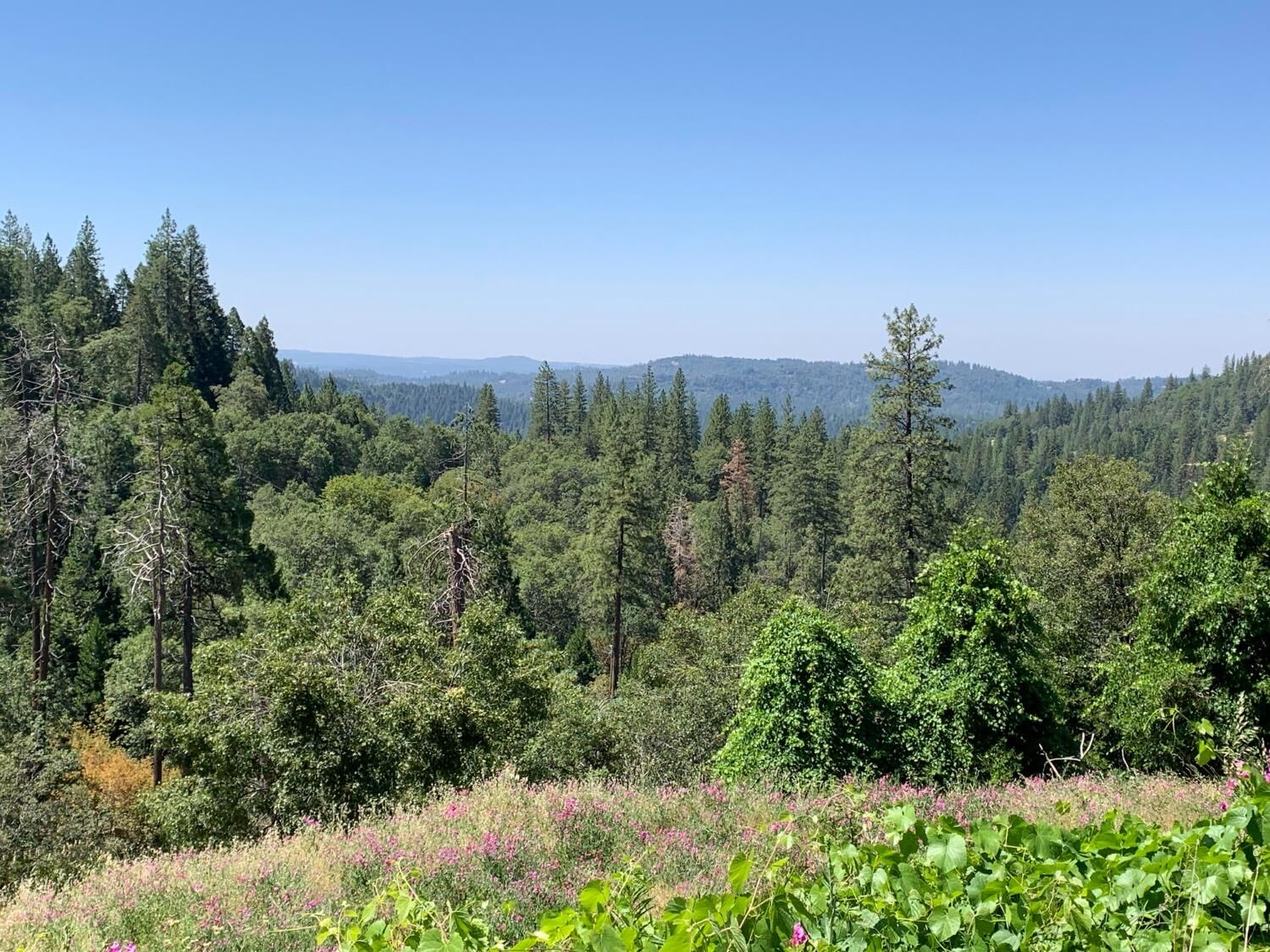 Property Photo:  10 Meyers Road  CA 95709 