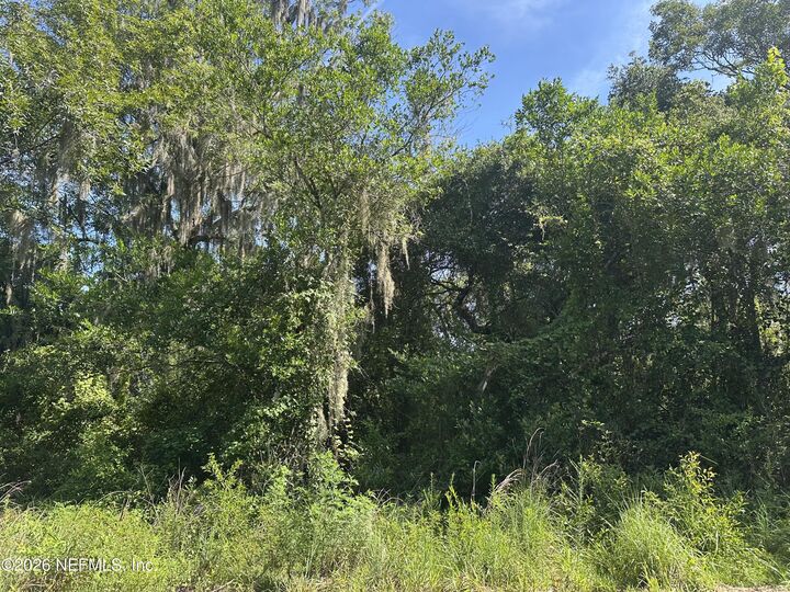 Property Photo: 232 Lakeview Drive FL 32189