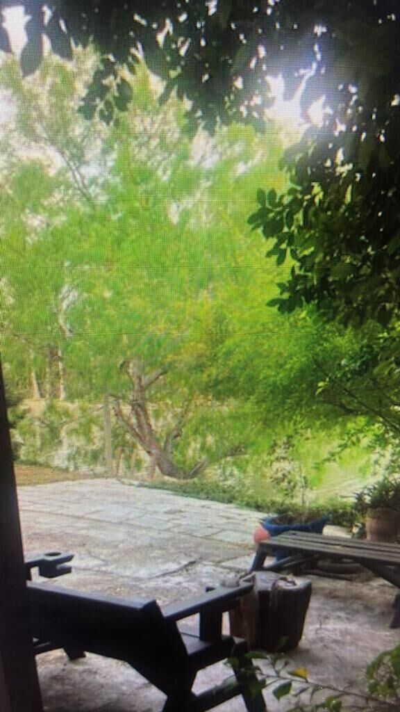 Property Photo:  1254 Paredes Line Rd. 3  TX 78521 