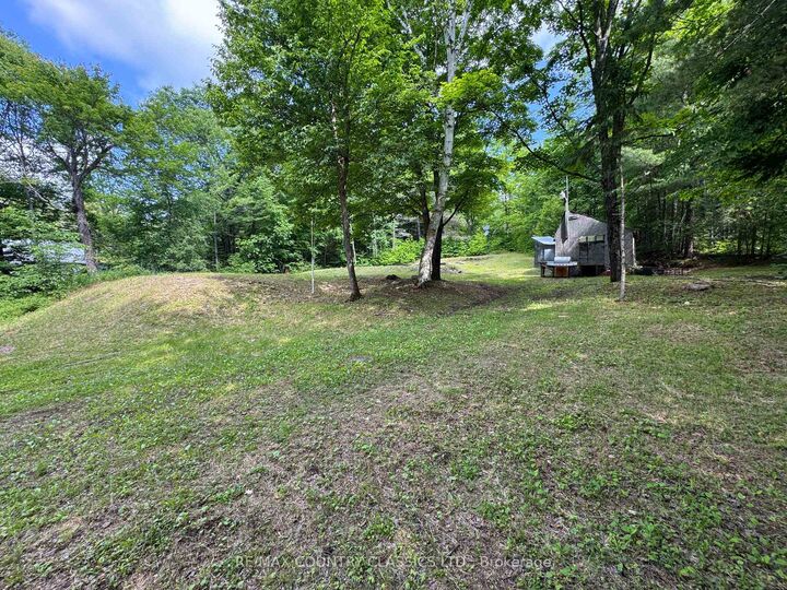 1703 Boulter Road — photo 1