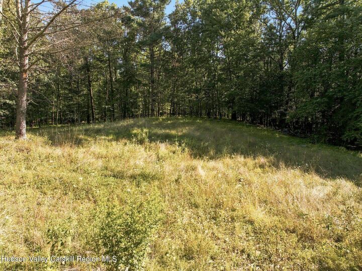 Property Photo:  8 White Owl  NY 12414 
