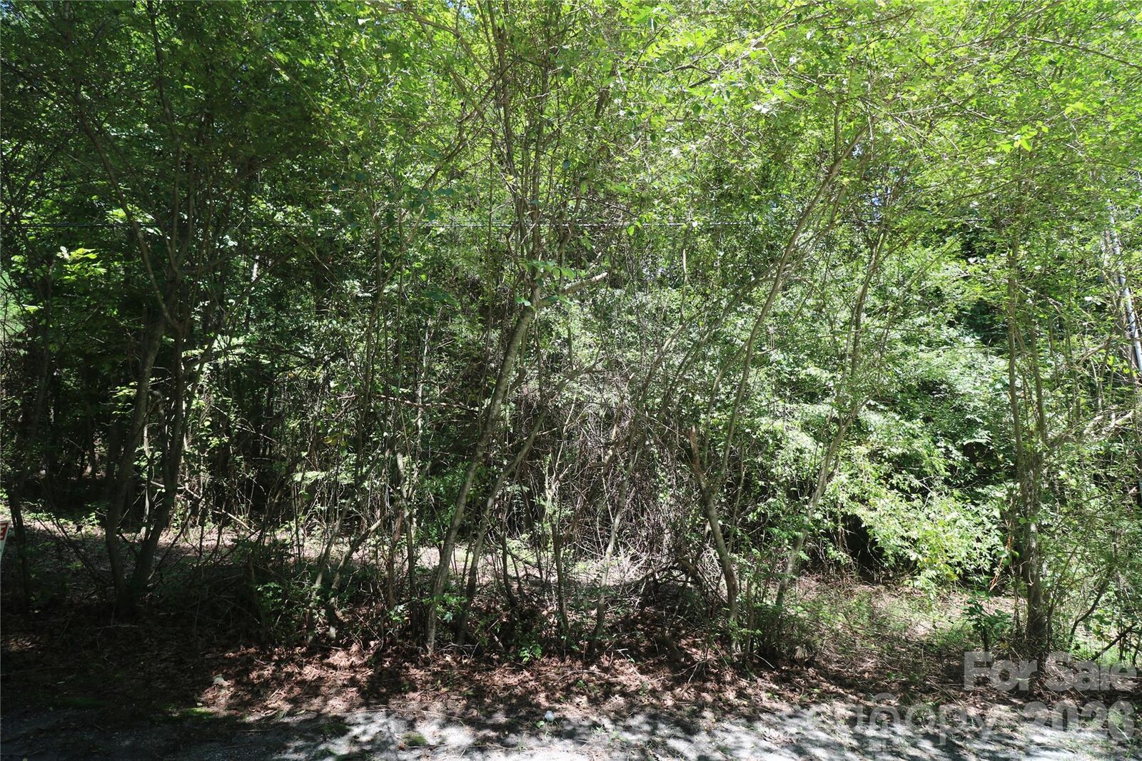Property Photo:  0 Shady Nook Circle  NC 28043 