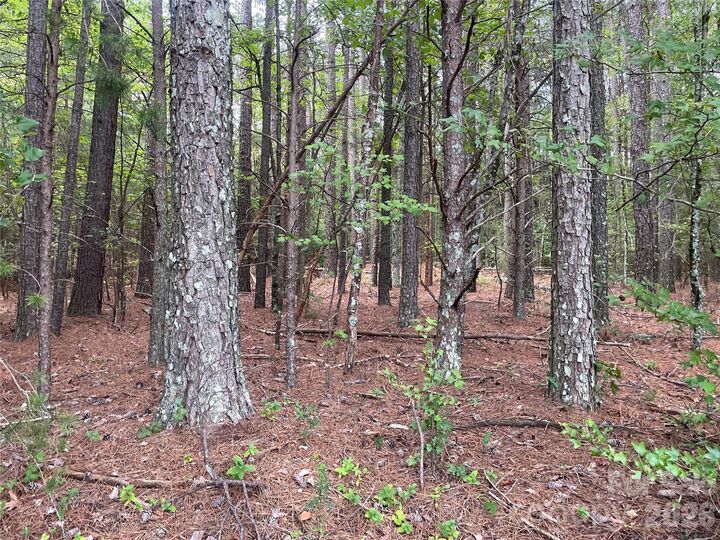 Property Photo:  01 Fishermans Lane 1  NC 28650 