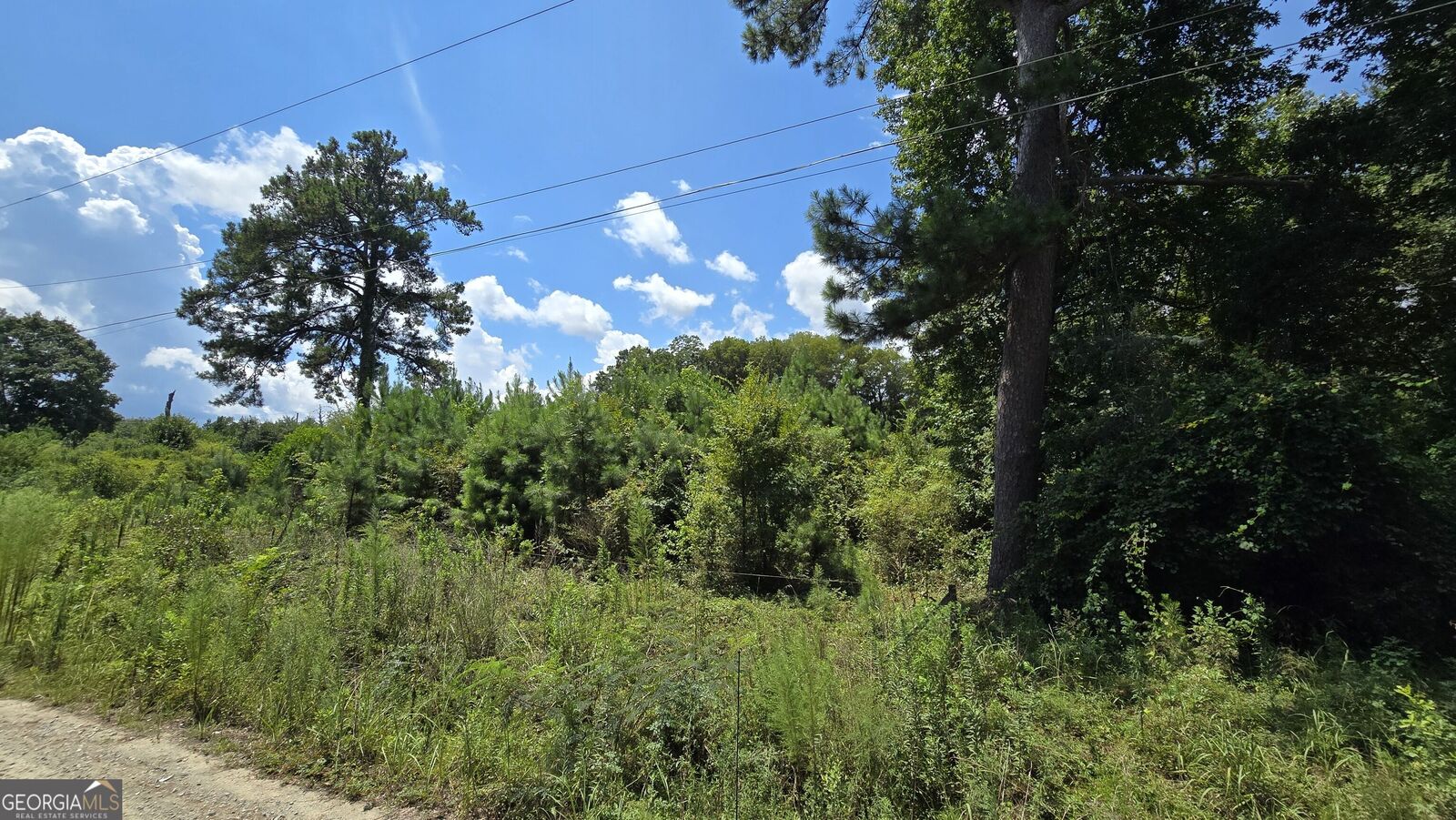 Property Photo:  7161 Molton Road  GA 31216 