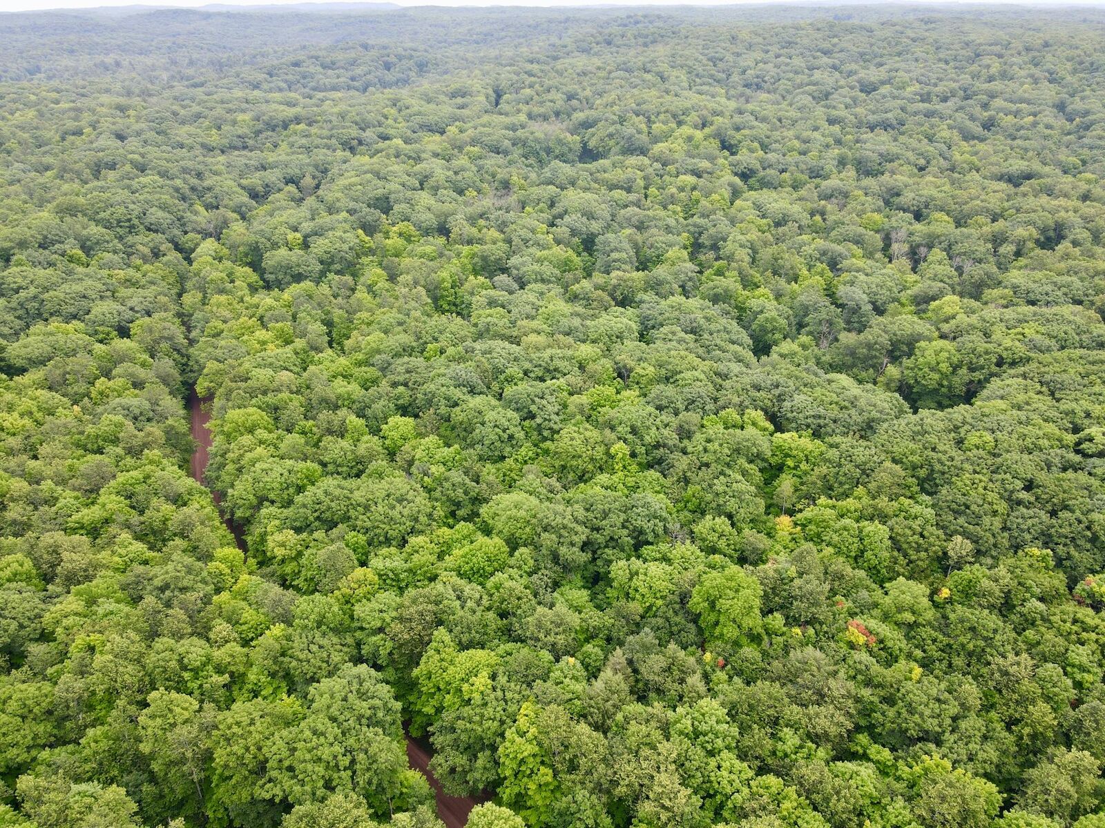 Property Photo:  Lot 3 Crane Foot Lake Rd  WI 54435 