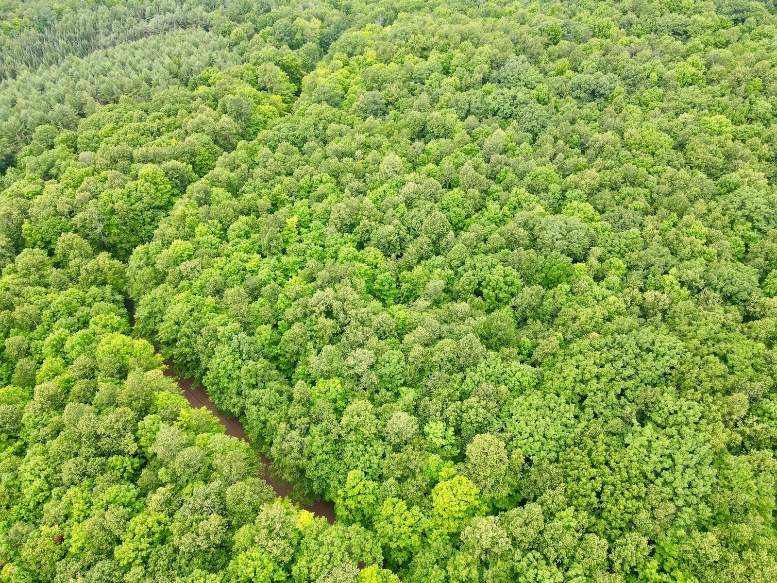 Property Photo:  Lot 1 Crane Foot Lake Rd  WI 54435 