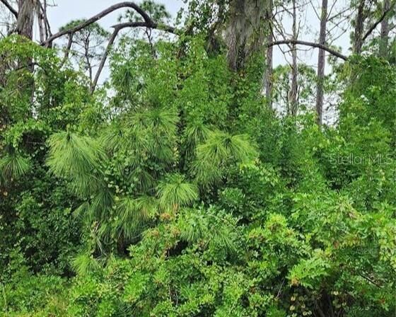 Property Photo:  151 Ravenswood Boulevard  FL 33954 