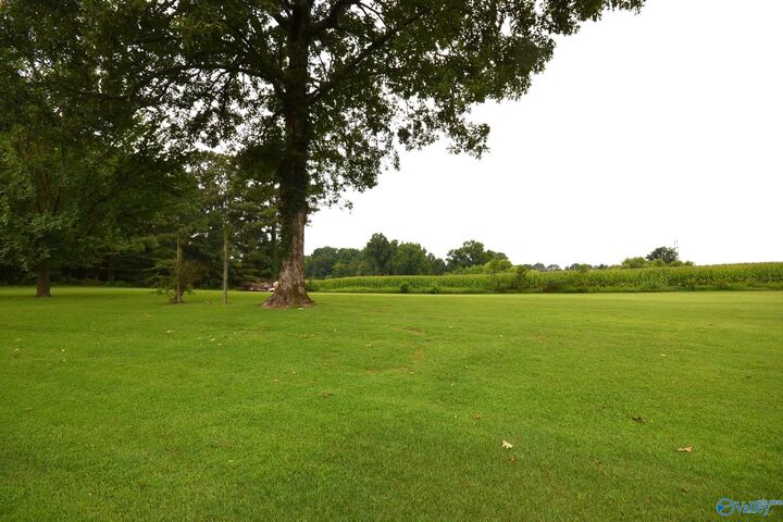 Property Photo:  4433 County Road 1223  AL 35179 
