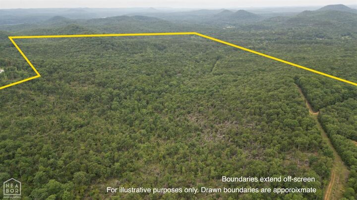 Property Photo: 238 Jumbo Rd AR 72556