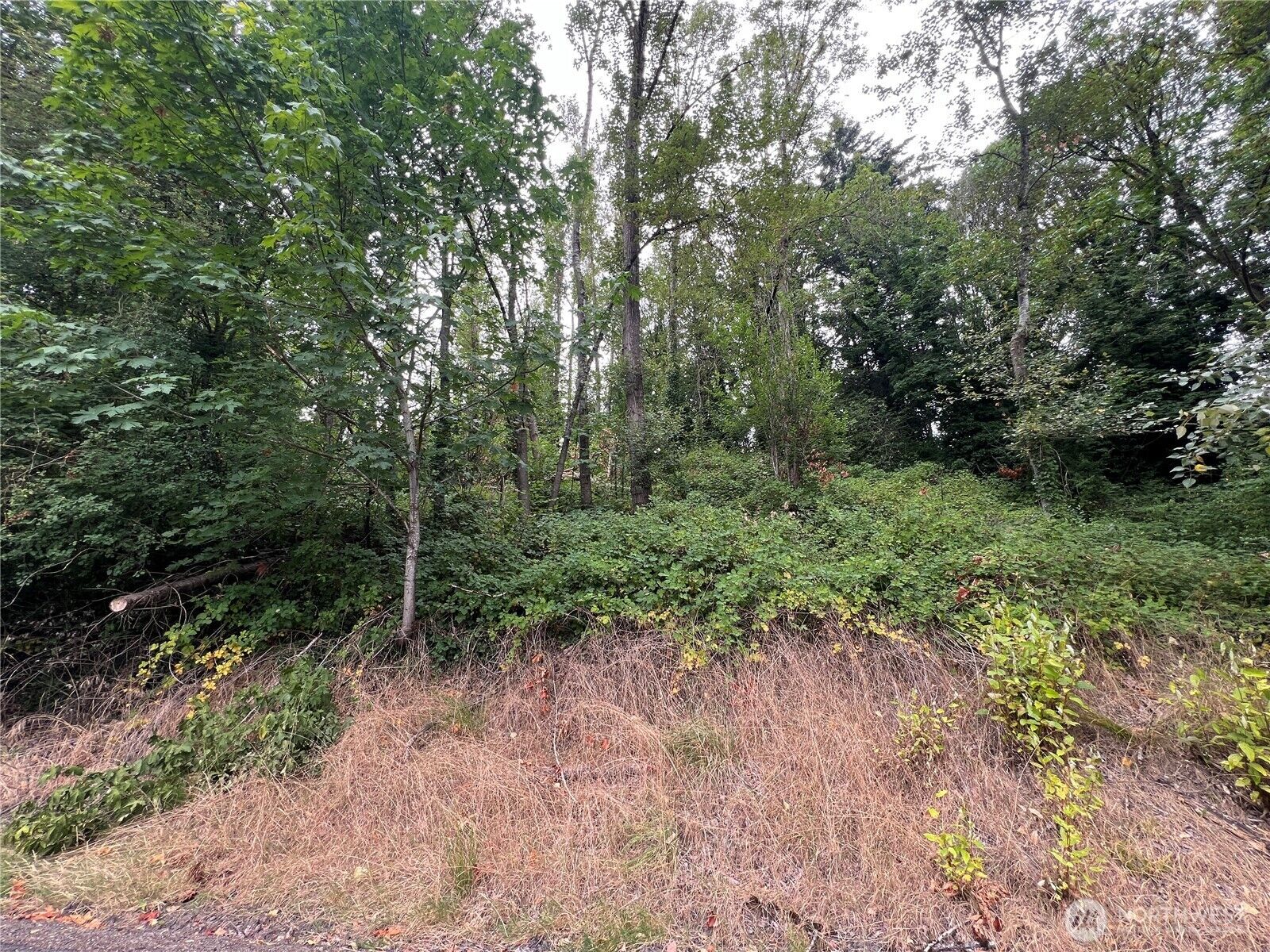 Property Photo: 0 X Allen Drive WA 98626