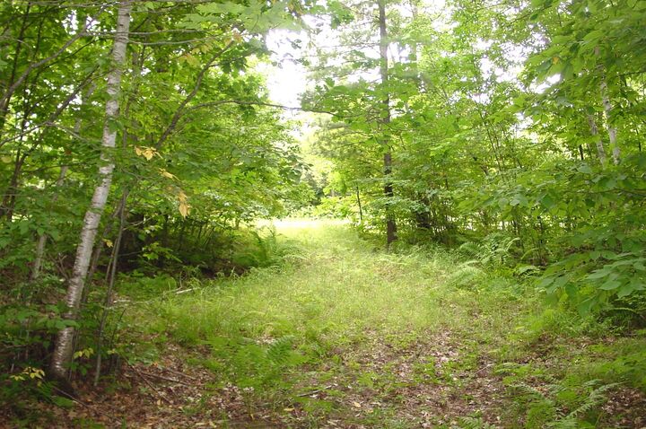 Property Photo:  80 Acres On Bailey Road  WI 54819 