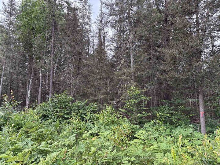 Property Photo:  818 Sand Hill Road  ON P0A 1Z0 