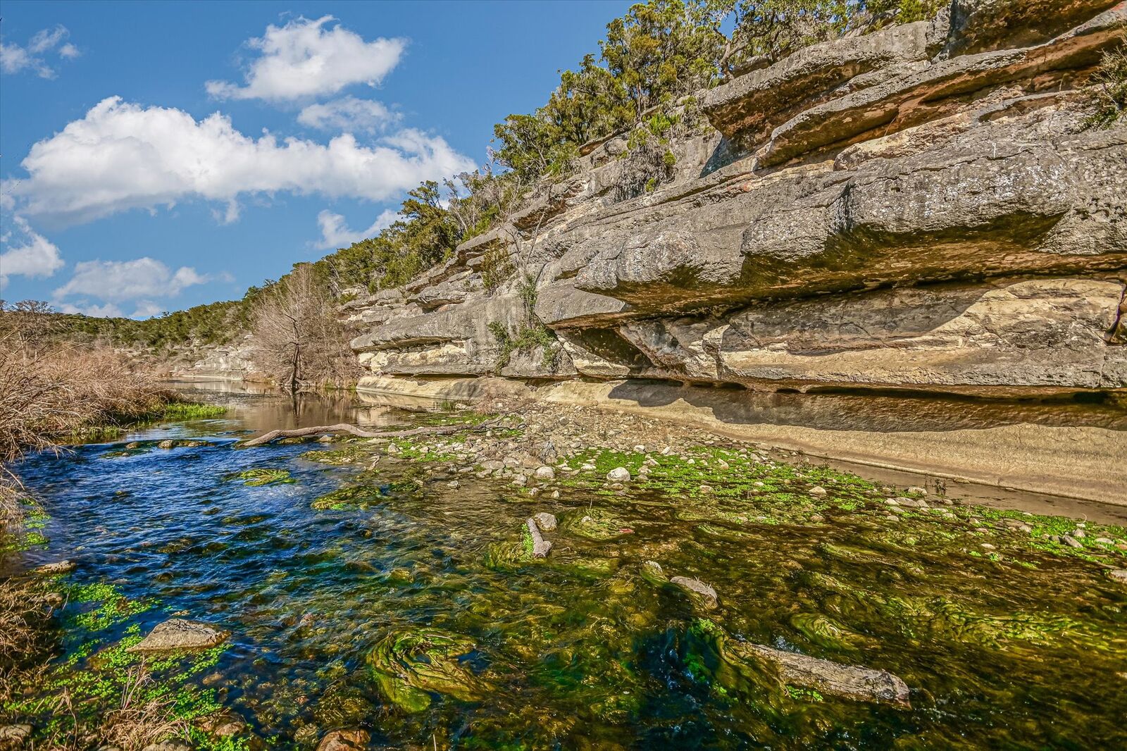 Property Photo: 4698 Fischer Store Road TX 78676