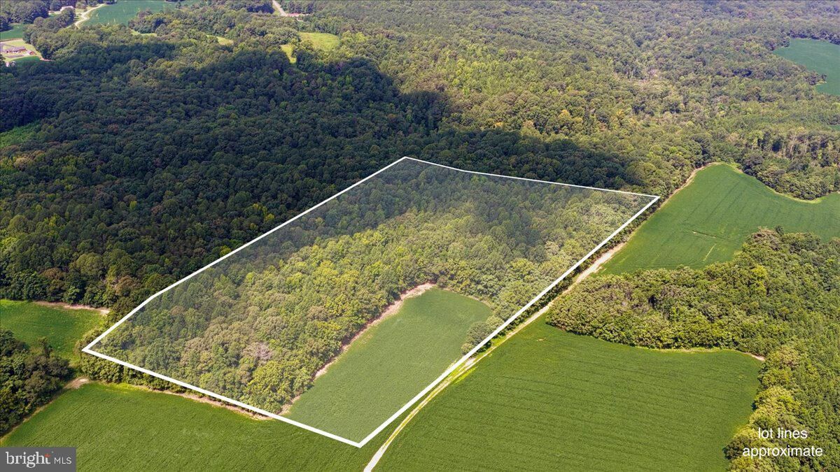Property Photo: Lot 53-82 Jerusalem Church Road VA 22469