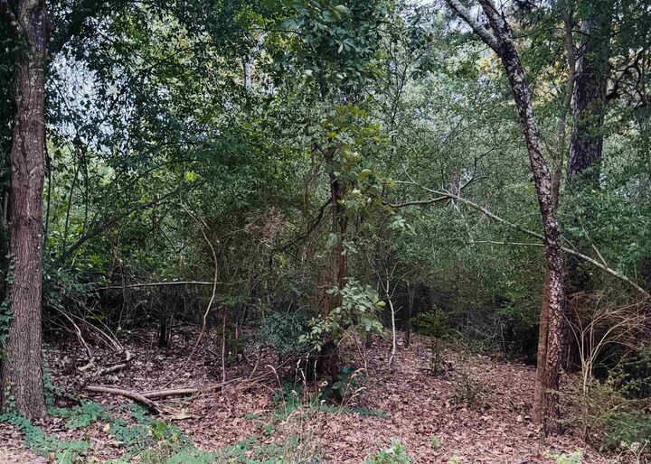 Property Photo:  Lot 25 Lee Summit  Dr.  AR 72202 