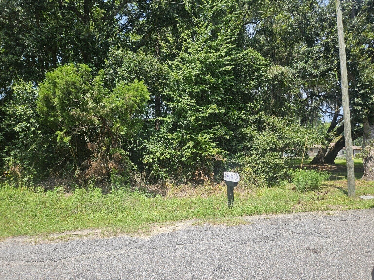 Property Photo: 1123 Langdoc Street SC 29461