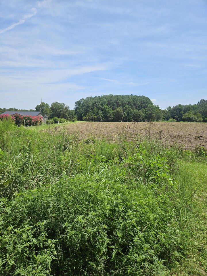 Property Photo: 0 Wolfman Lane SC 29479