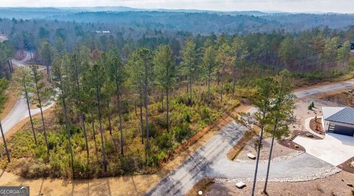 Property Photo:  Lot 65 High River Landing  GA 30540 