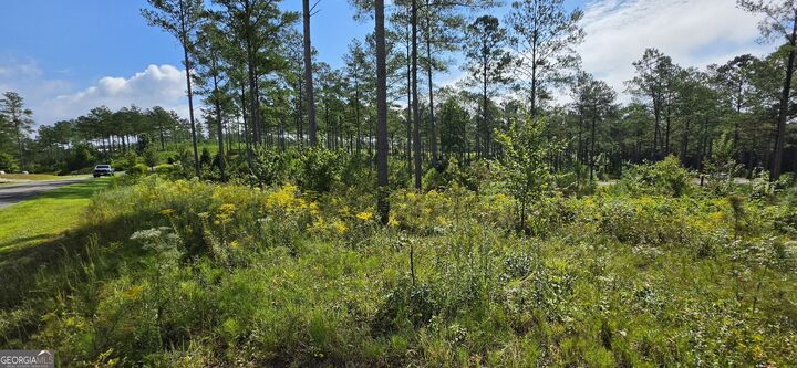 Property Photo:  Lot 65 High River Landing  GA 30540 