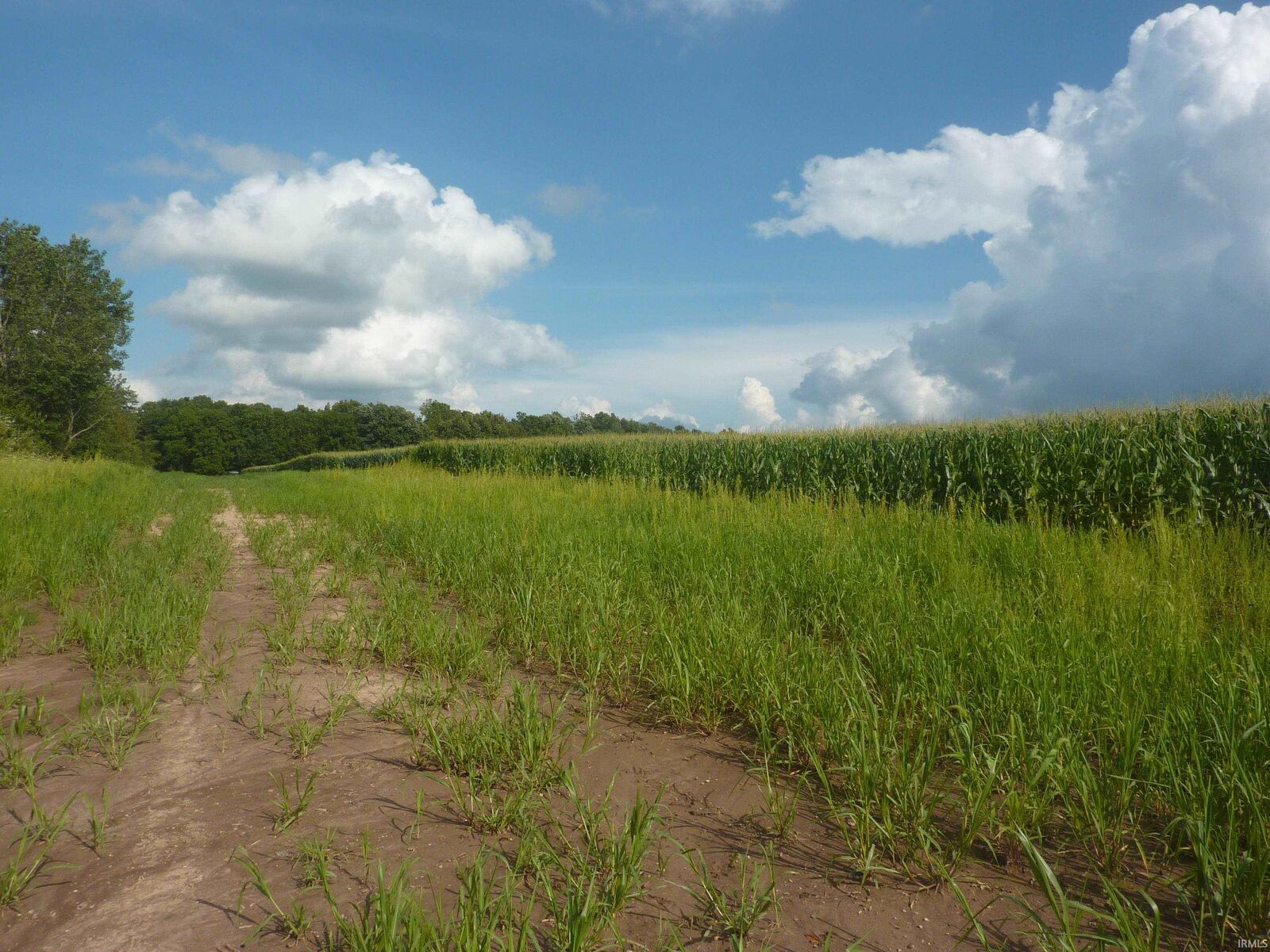 Property Photo: 7505 S Old State Rd. 15 Road IN 46940