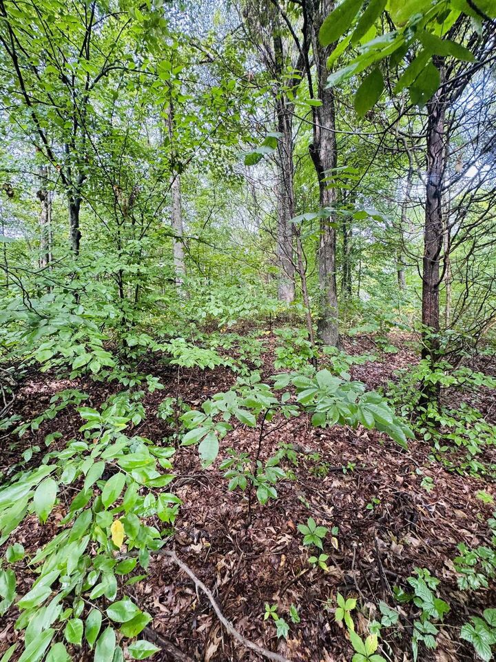 Property Photo:  0 State Road 45 Highway  IN 47424 