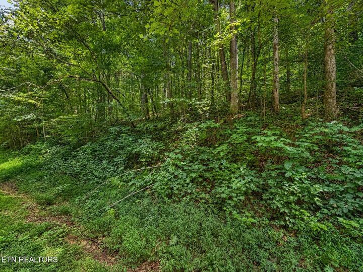 Property Photo:  Johnson Valley Rd  TN 37846 