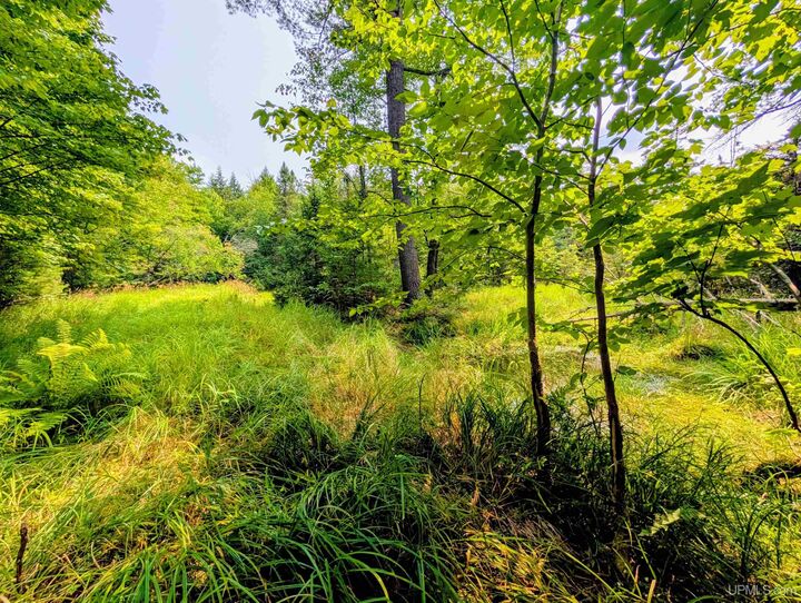 Property Photo:  160 Acres Camp Gibbs Road  MI 49935 