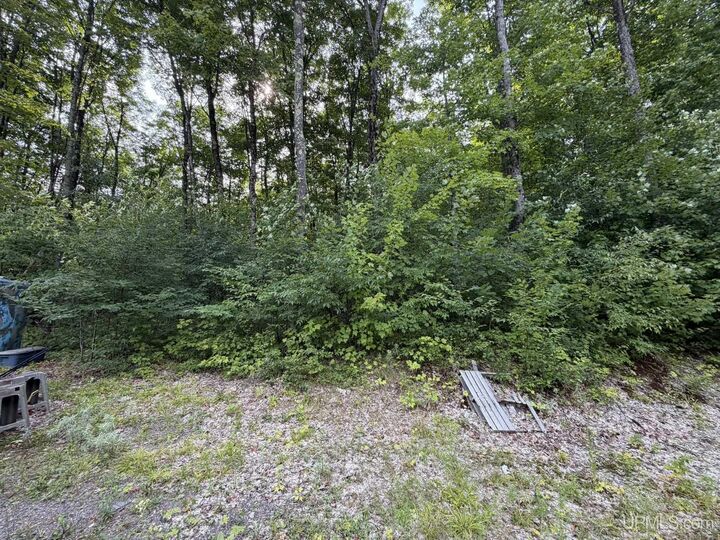 Property Photo:  N4260 W Tamarack Lake Road  MI 49969 