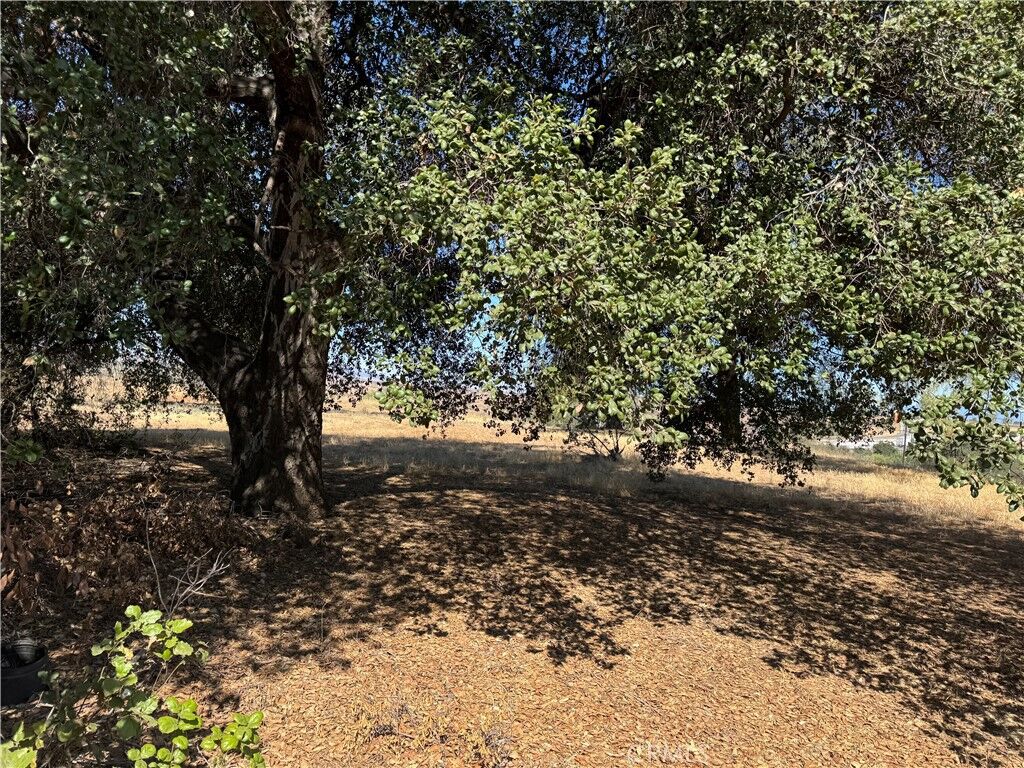Property Photo:  61 Redwood  CA 92320 