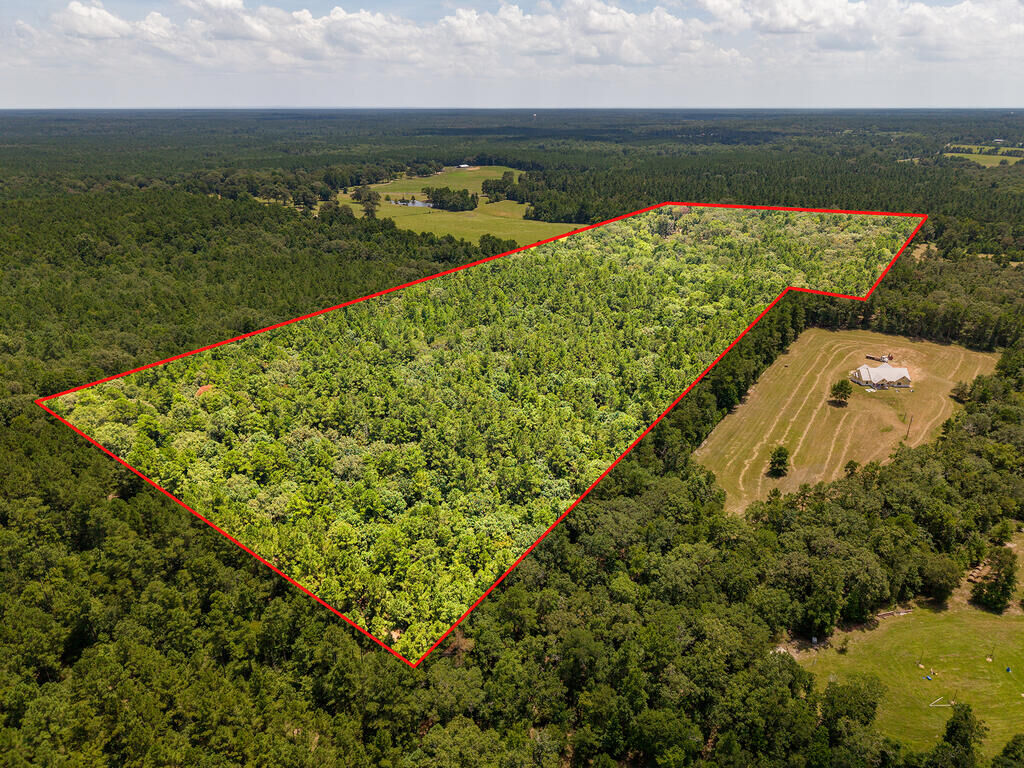 Property Photo: 1647 Whitehead Road TX 75901