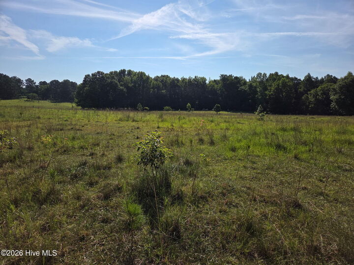 Property Photo:  0 Rocky Branch Church Raod  GA 30821 