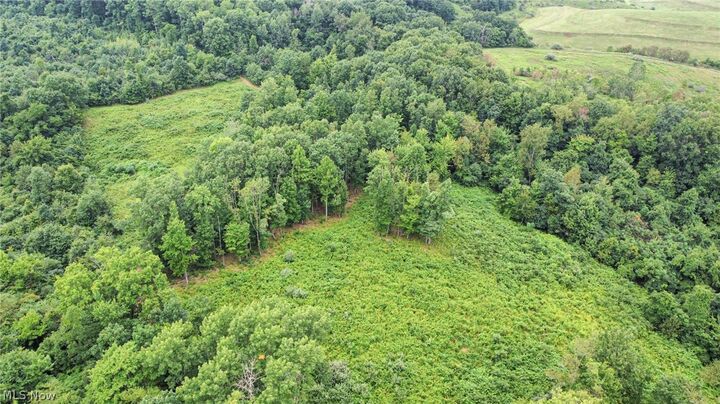 Property Photo: 43998 Hammond School Road OH 43968