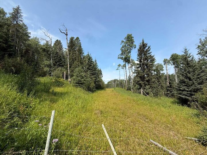 Property Photo: Sw15-Twp 31-Rge6 W5 AB T0M 0M0