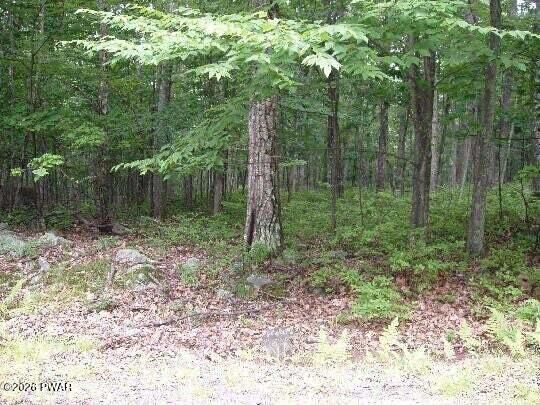 Property Photo: Woodledge East Lake PA 18428