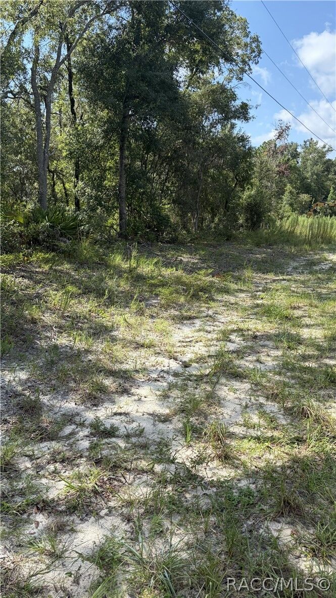 Property Photo:  2199 N Stampede Drive  FL 34465 