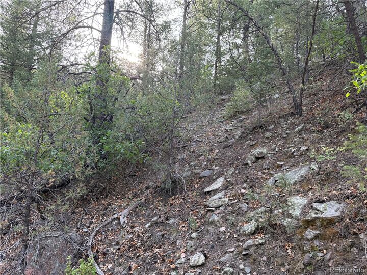 Property Photo: 594 Maurice Drive CO 81223