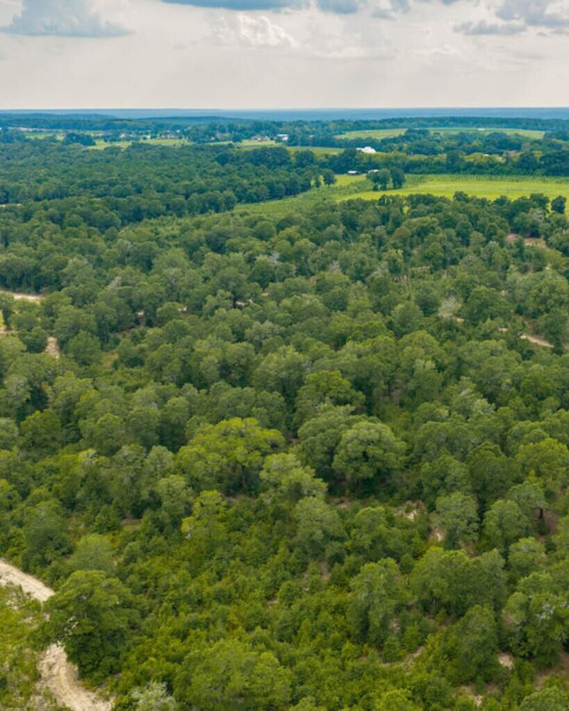 Property Photo:  0 Power Dam Rd.  AL 36352 