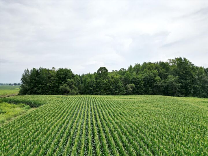 Property Photo:  0 US Hwy 50  IN 47023 
