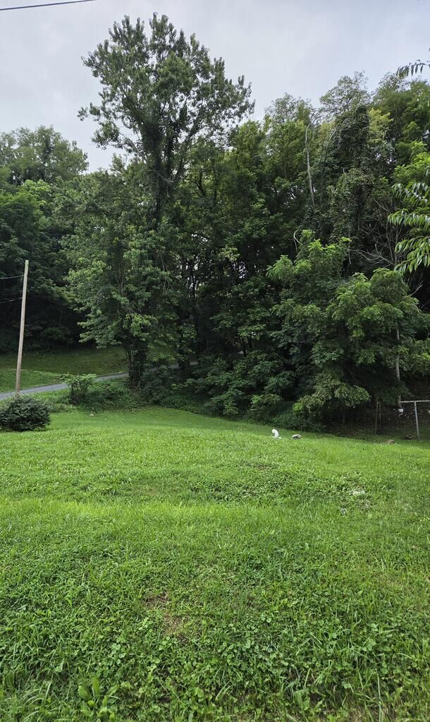 Property Photo: 508 Pearl Ave VA 24354