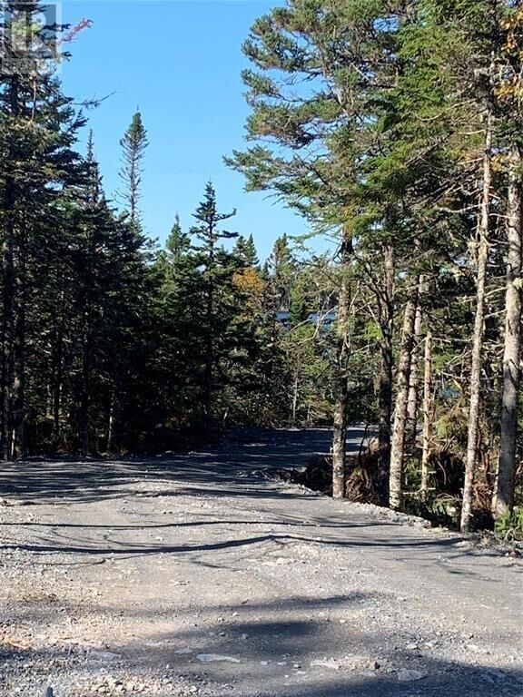 Property Photo:  Lot 5 Halleran Trail  NL A0B 1G0 