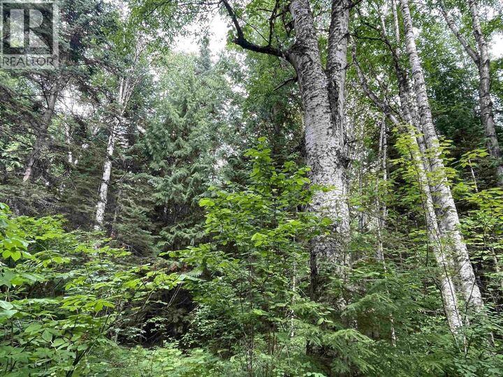 Property Photo:  Dl830 Cedarvale Kitwanga Back Road  BC V0J 2A0 