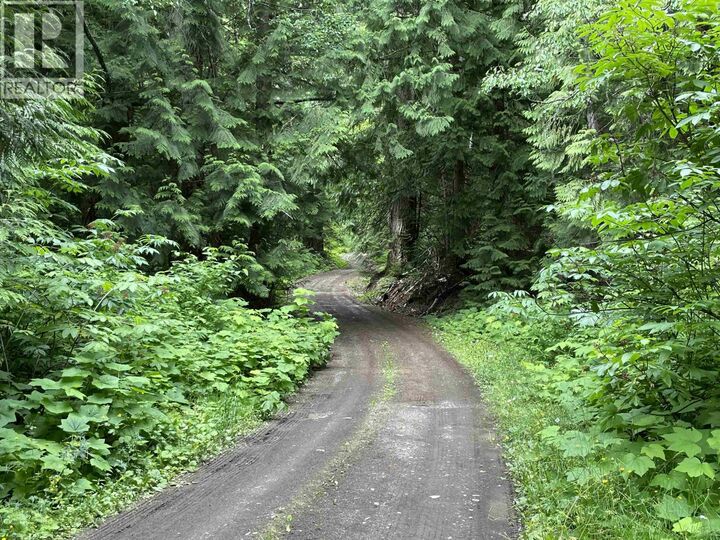 Property Photo:  830 Cedarvale Kitwanga Back Road Dl  BC V0J 2A0 