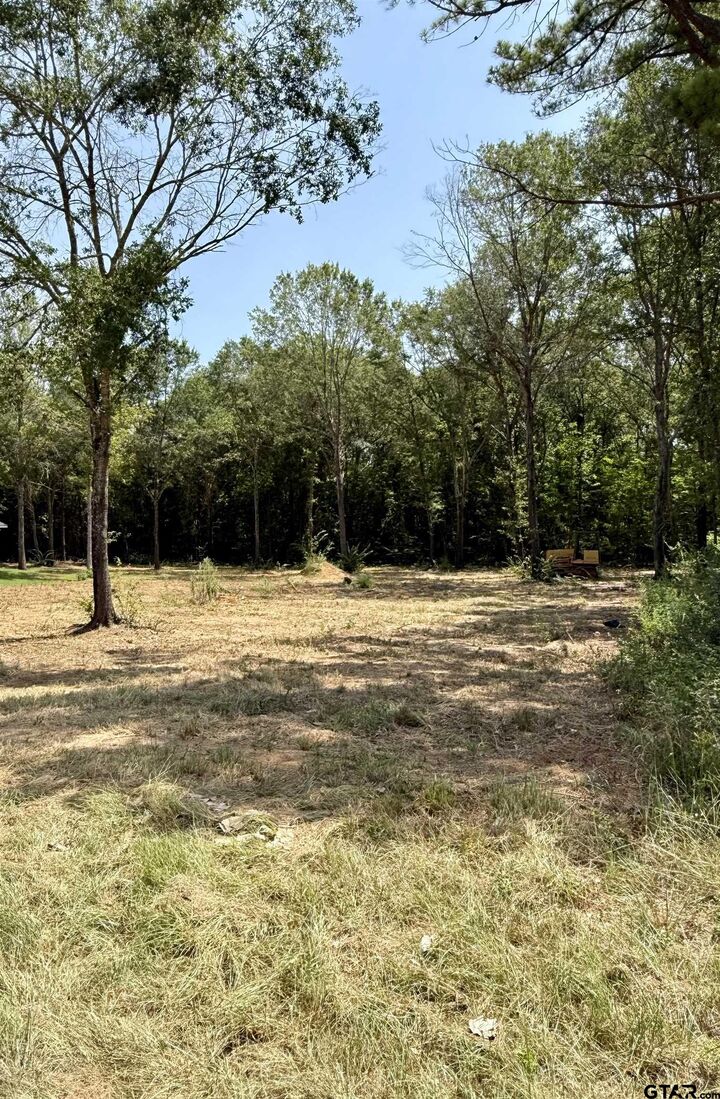 Property Photo: 17184 Cr 479 (Lot 2) TX 75771