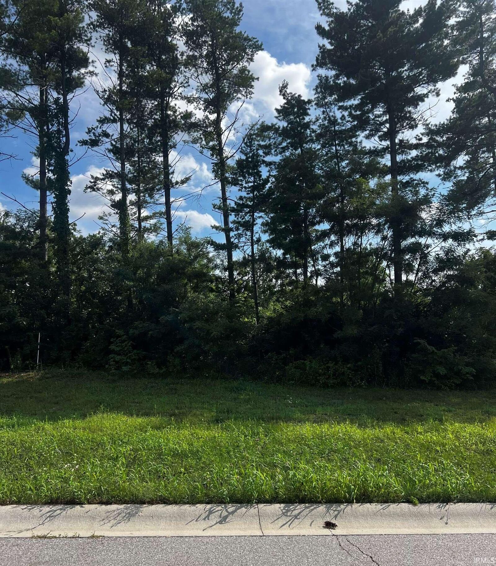 Property Photo:  637 Skillet Avenue  IN 46748 