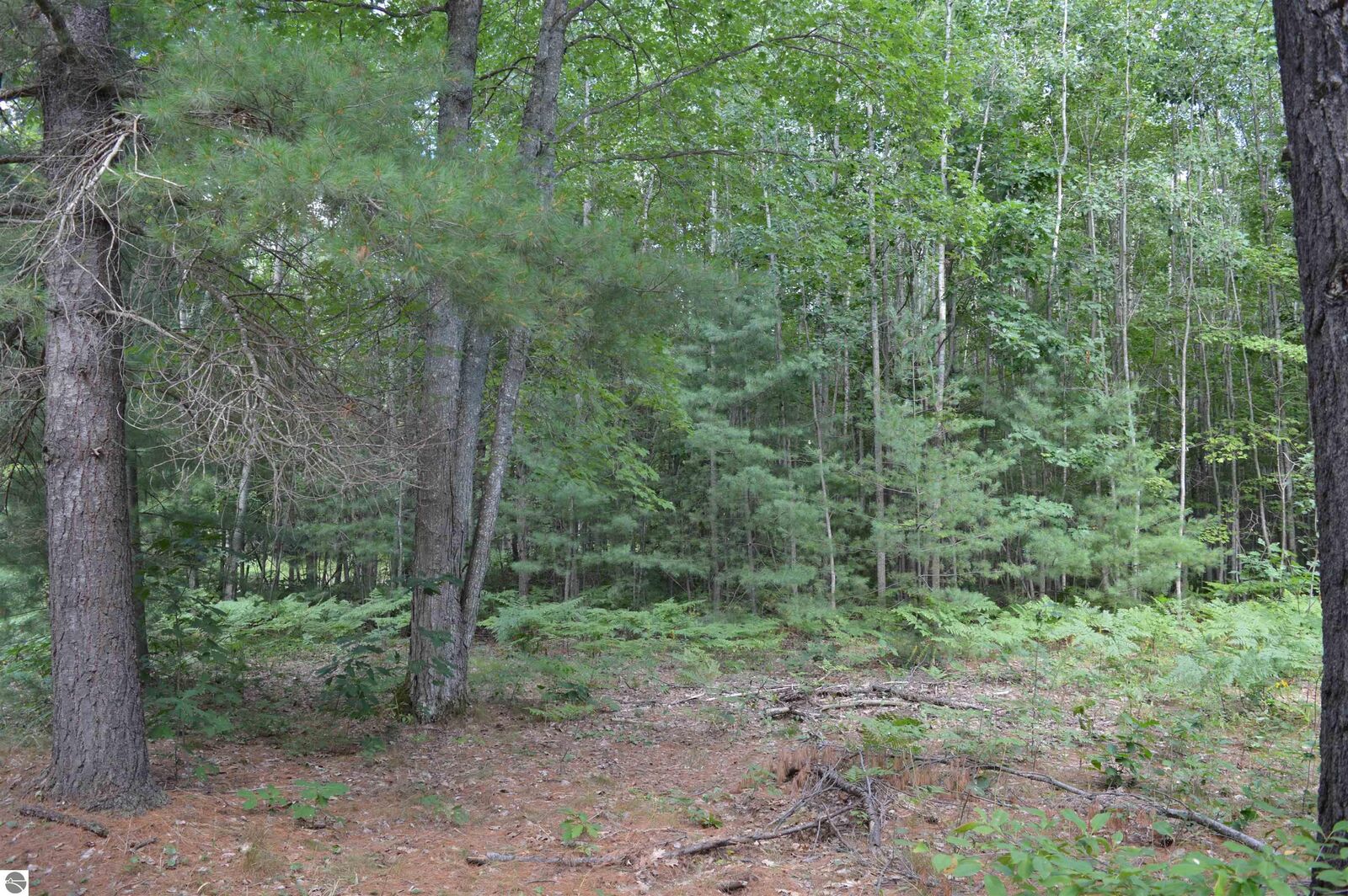 Property Photo:  8430 NE Grass Lake Road  MI 49646 