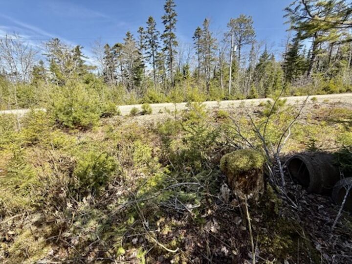 Property Photo:  Lot 32 Dynasty Court  NS B0J 1J0 